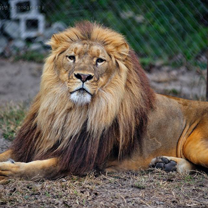 Catty Shack Ranch Wildlife Ranch Reserve