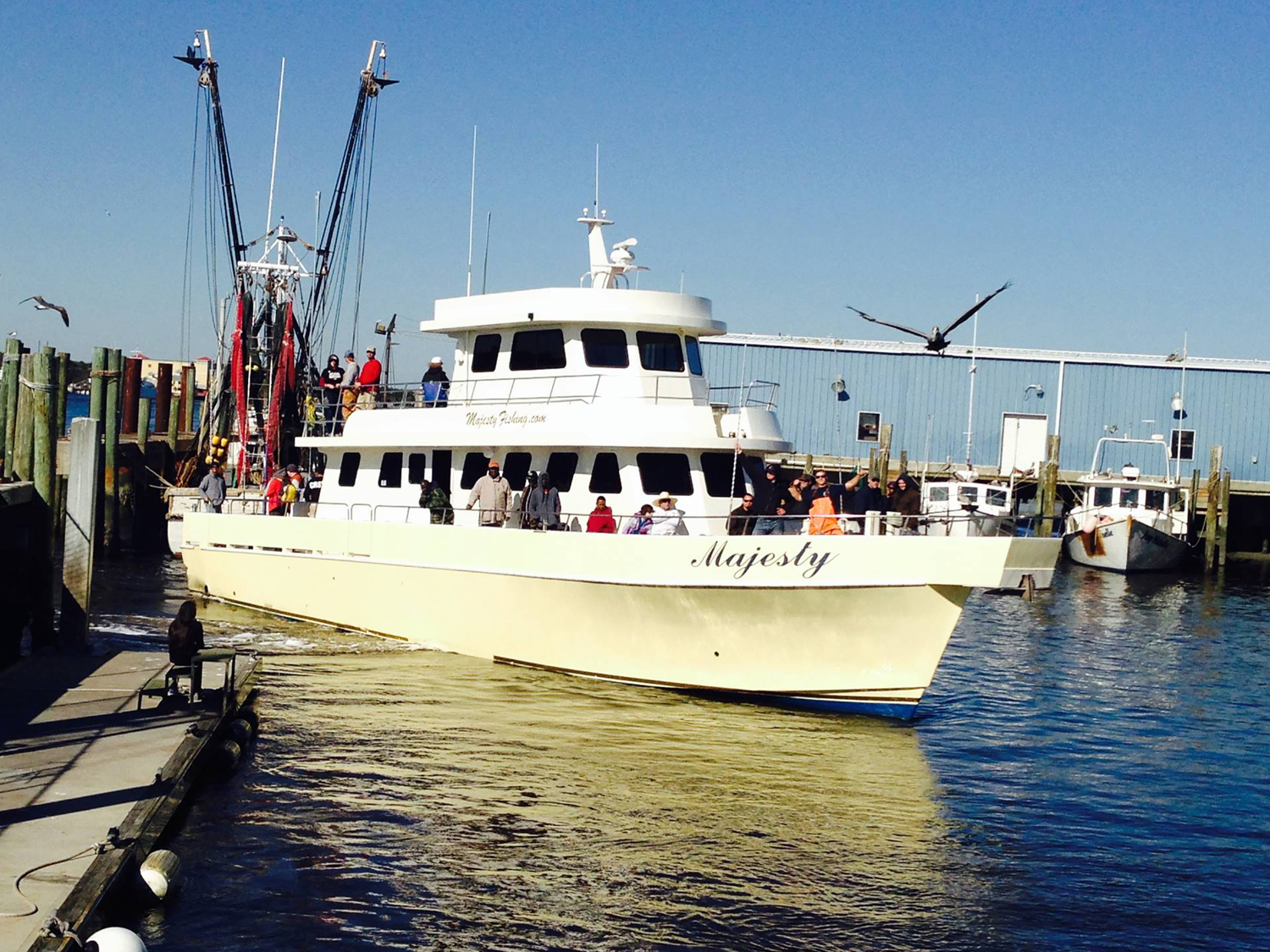 Majesty Deep Sea Fishing