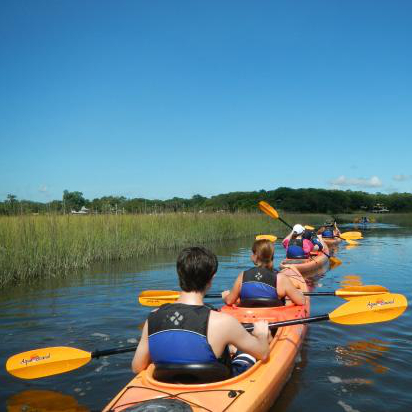Adventures Up the Creek Kayak Tours